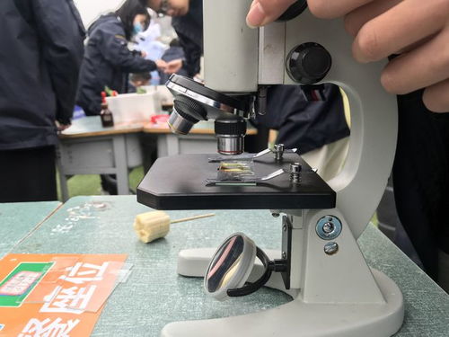 校園科技節(jié)腦力值拉滿，學生玩嗨了！教學模型與教具銷售迎來熱潮